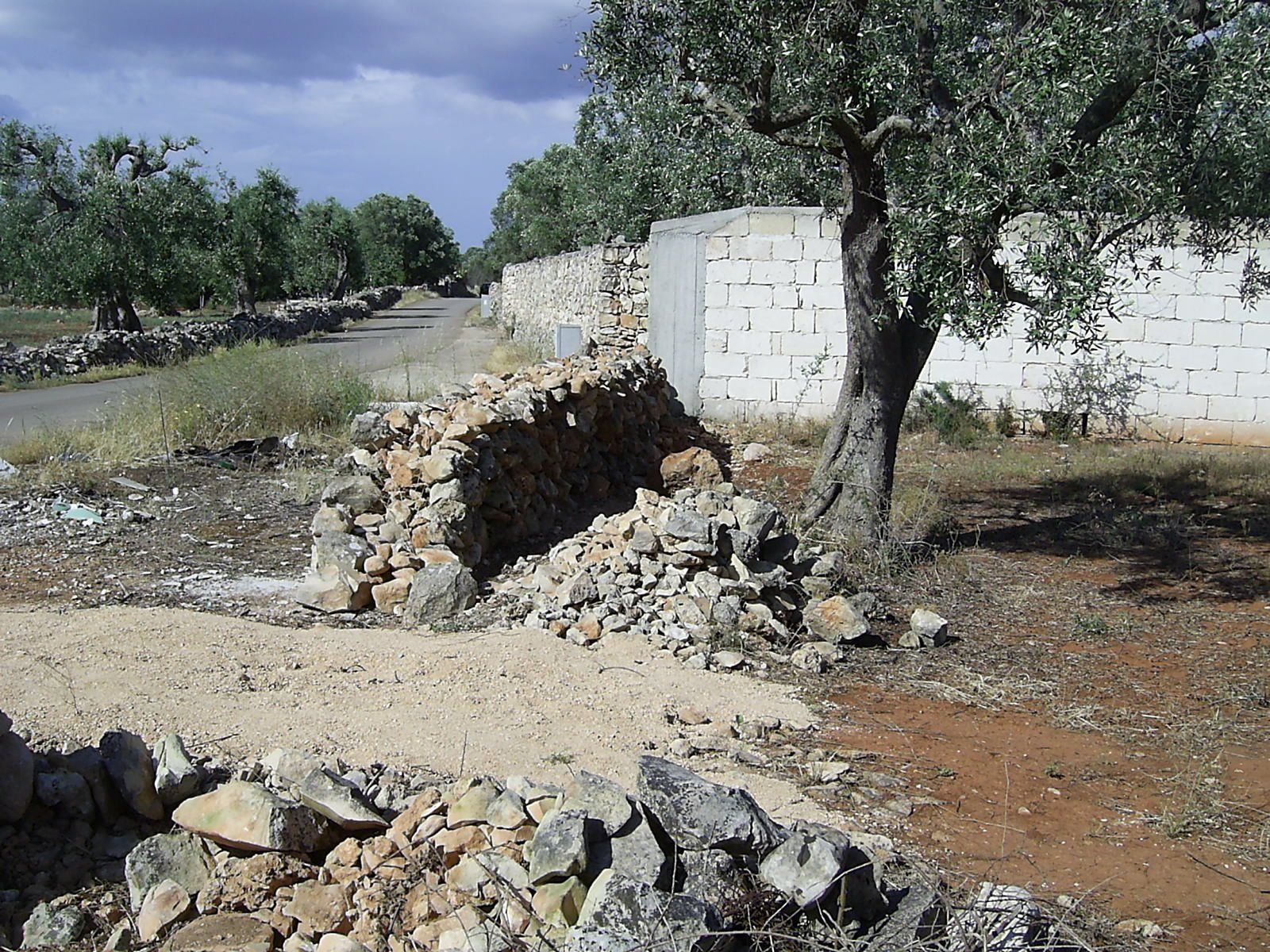 Muro a secco di pietra calcarea in ricostruzione lungo una strada di campagna, con le pietre selezionate in mucchi accanto, tra gli ulivi