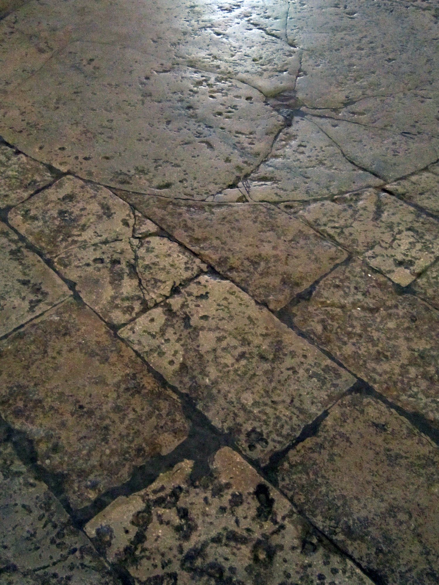 Pale limestone floor with large slabs in a historic building
