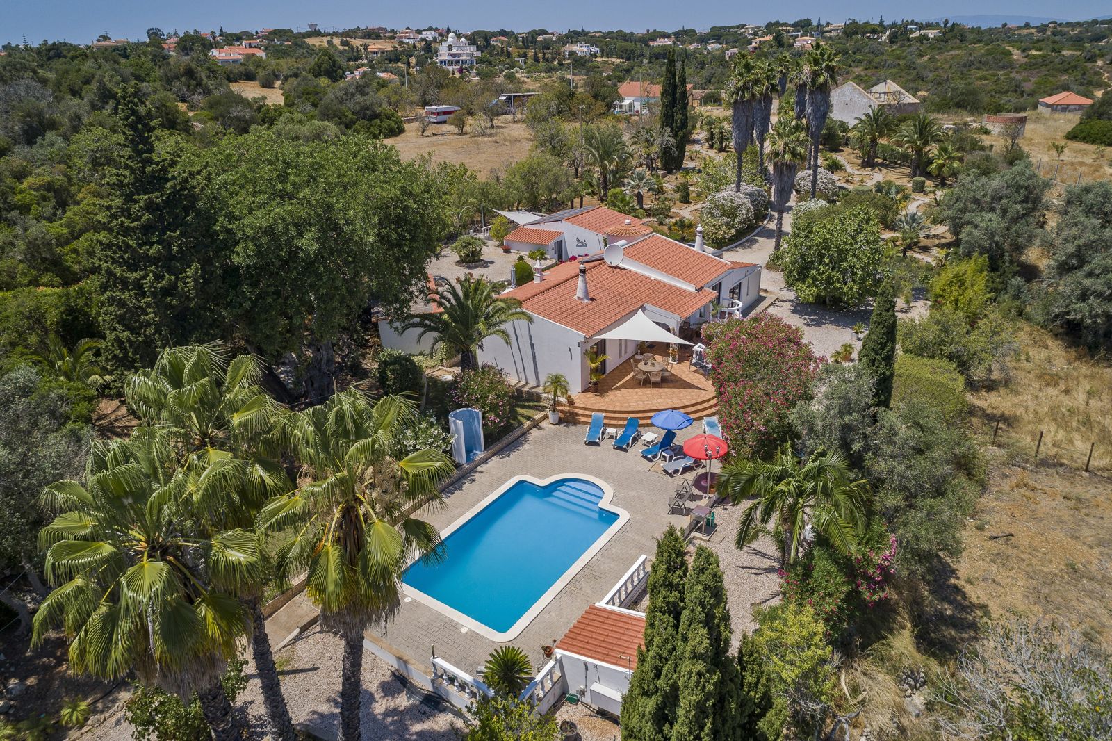 Aerial view of a holiday villa with a swimming pool among palm and pine trees
