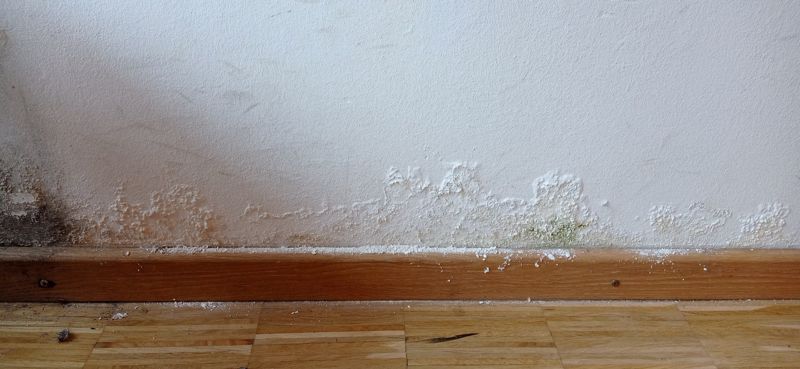 Interior wall with damp staining and flaking paint above the skirting board