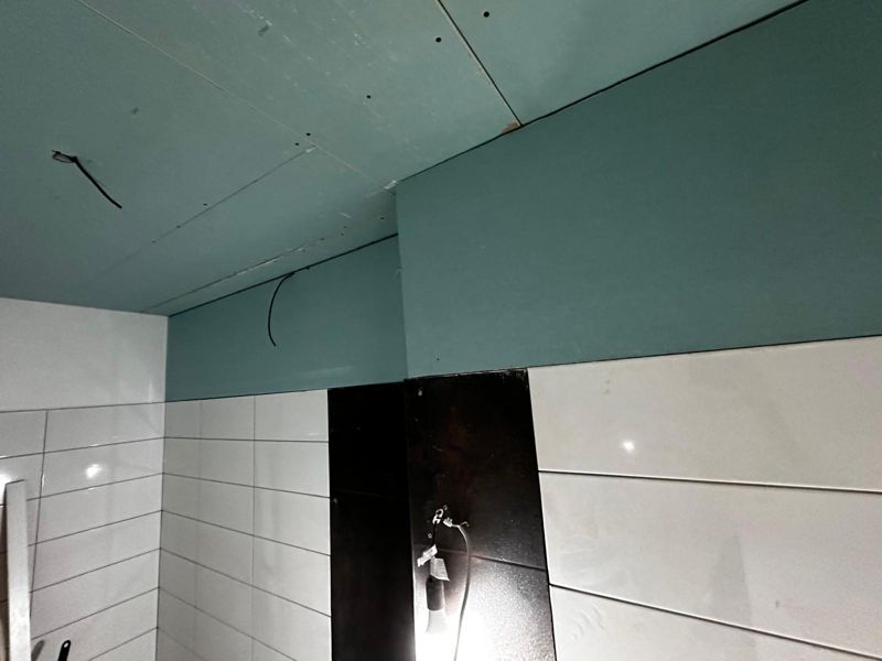 bathroom moisture board ceiling